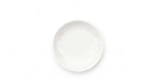 Airline chinaware dish